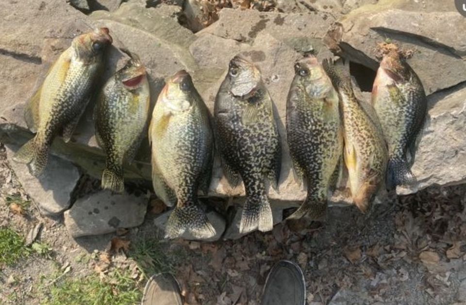 sld1 fishing charter
