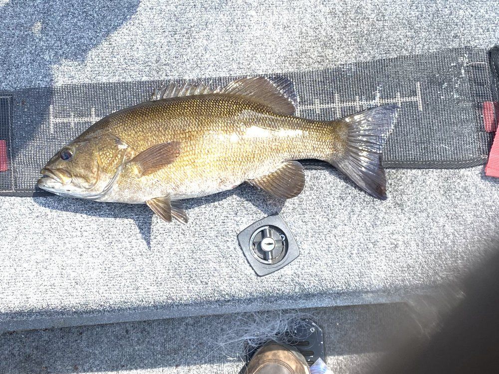 1 fishing guide services