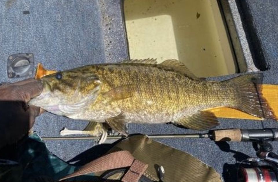 sld4 guided fishing