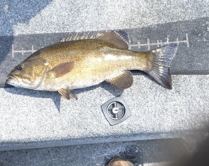 FISHING GUIDE SERVICES